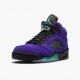 Jordans 5 Retro Alternate Grape Herren 136027-500 Sportschuhe