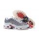 Nike Air Max Plus Tn Herren Grau and Weiß Sportschuhe